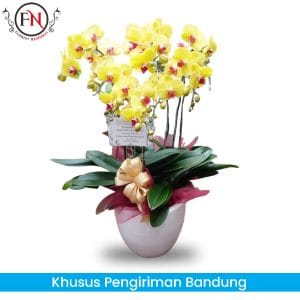 Anggrek Bandung, bunga Anggrek Bandung, toko bunga papan bandung