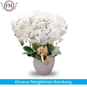 bunga Anggrek Bandung, Rangkaian bunga anggrek Bandung, toko bunga papan bandung
