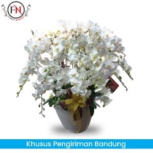 bunga Anggrek Bandung, Rangkaian bunga anggrek Bandung, toko bunga papan bandung