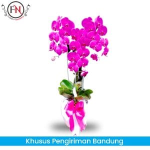 bunga Anggrek Bandung, Rangkaian bunga anggrek Bandung, toko bunga papan bandung