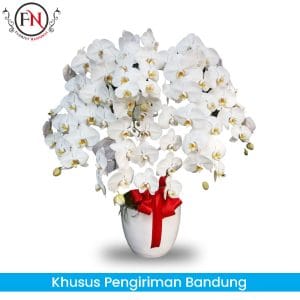 bunga Anggrek Bandung, Rangkaian bunga anggrek Bandung, toko bunga papan bandung